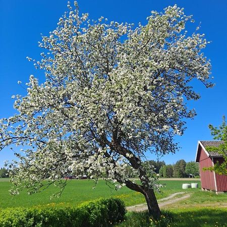 Levomaeki Farm Cottages Ypaja Eksteriør billede