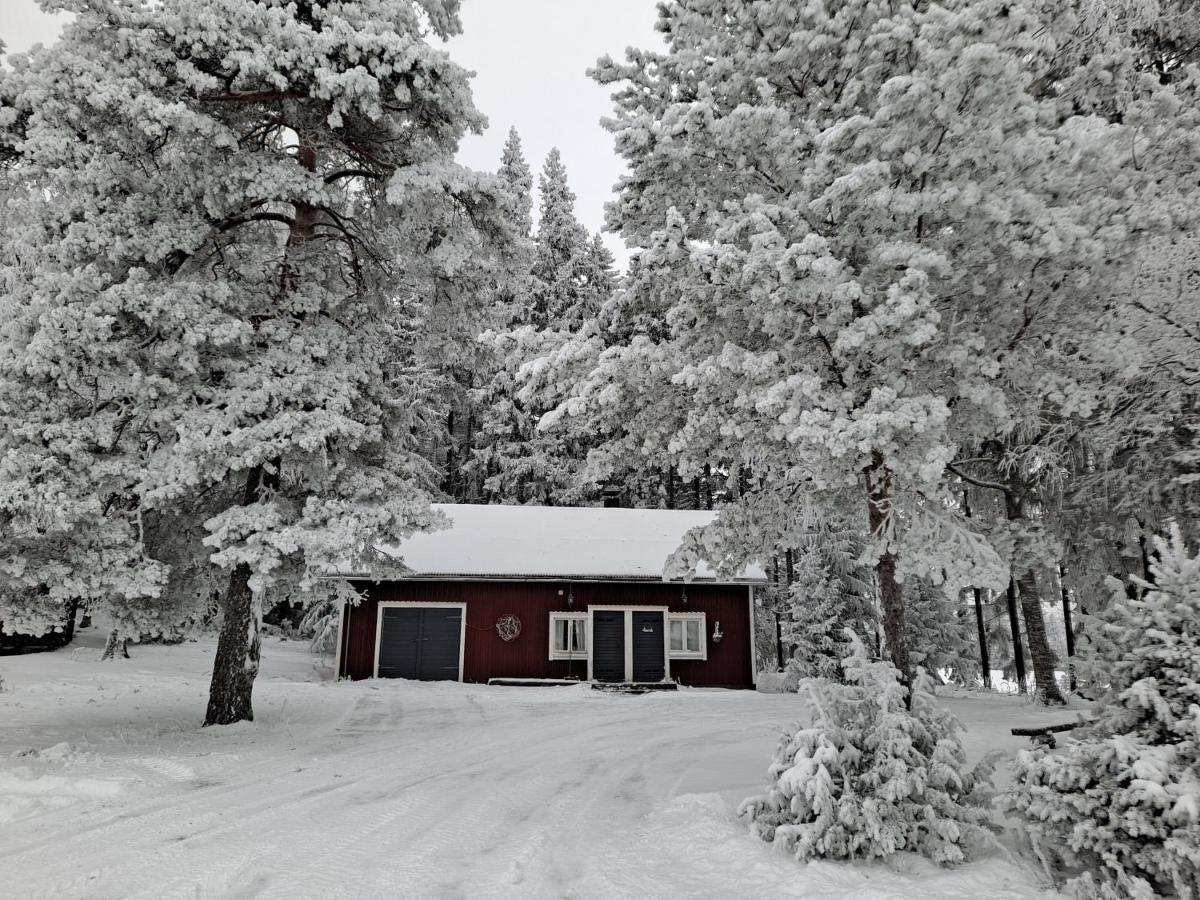 Levomaeki Farm Cottages Ypaja Eksteriør billede