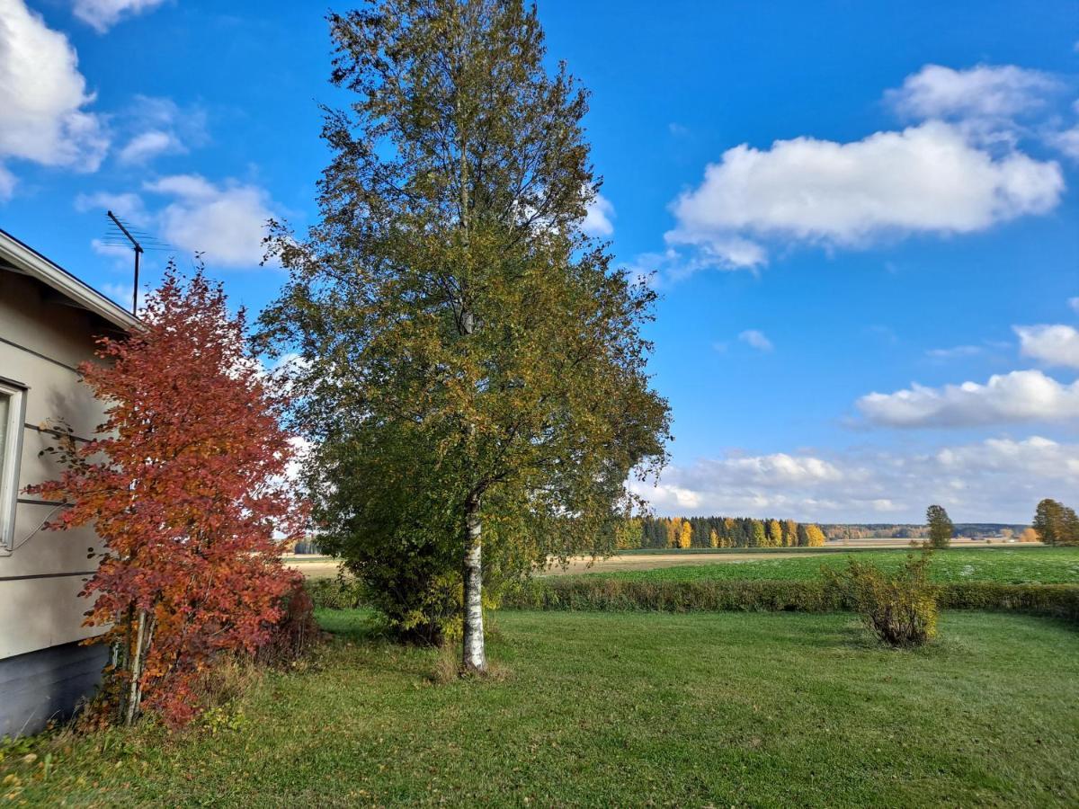 Levomaeki Farm Cottages Ypaja Eksteriør billede