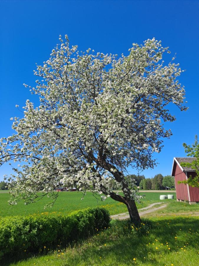 Levomaeki Farm Cottages Ypaja Eksteriør billede