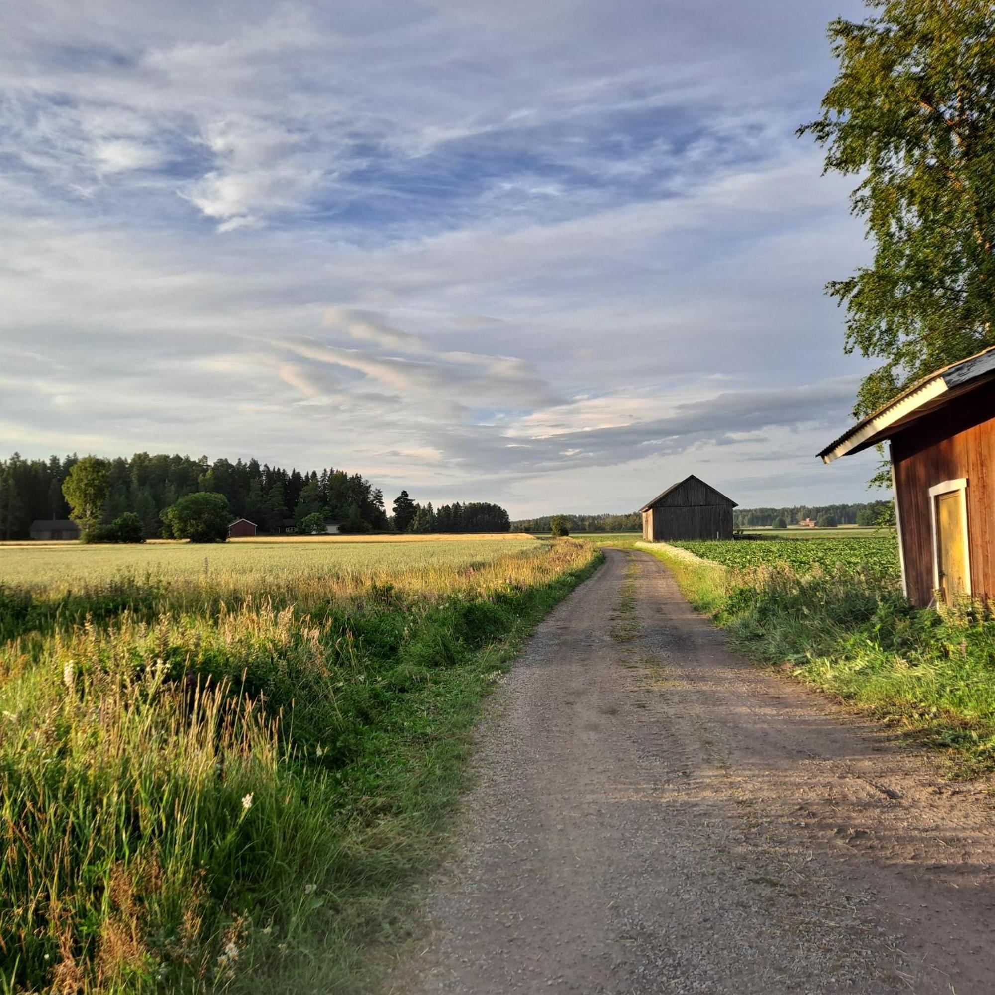 Levomaeki Farm Cottages Ypaja Eksteriør billede
