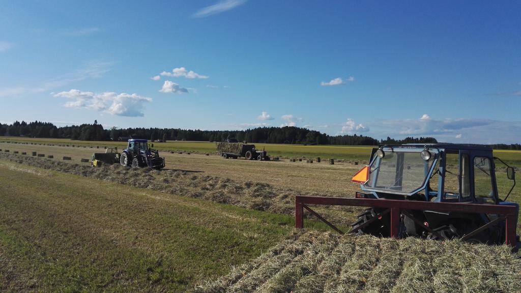 Levomaeki Farm Cottages Ypaja Eksteriør billede