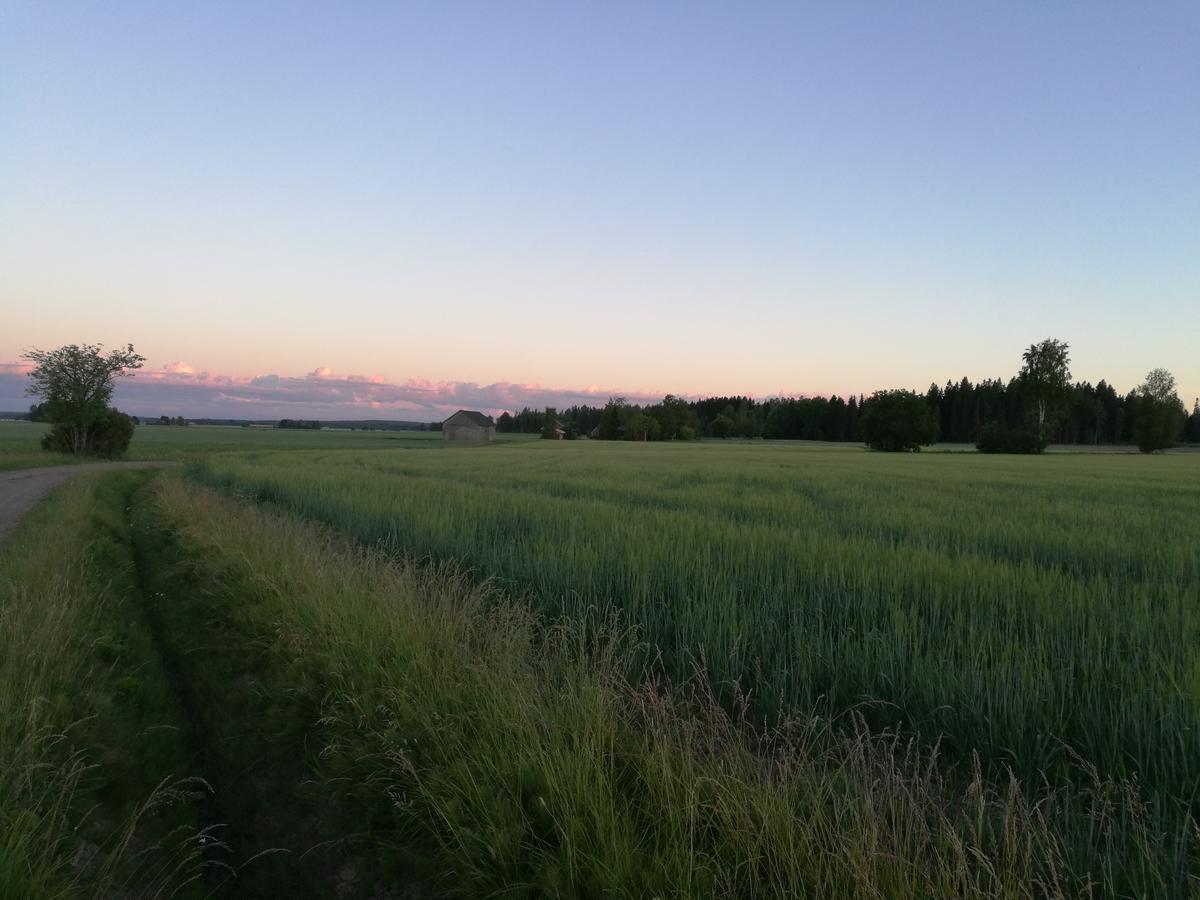 Levomaeki Farm Cottages Ypaja Eksteriør billede