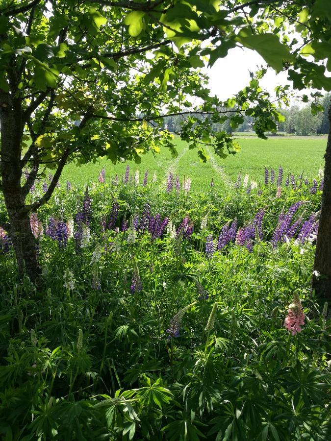 Levomaeki Farm Cottages Ypaja Eksteriør billede